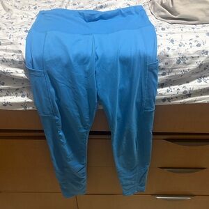 Wild Fable Blue Leggings